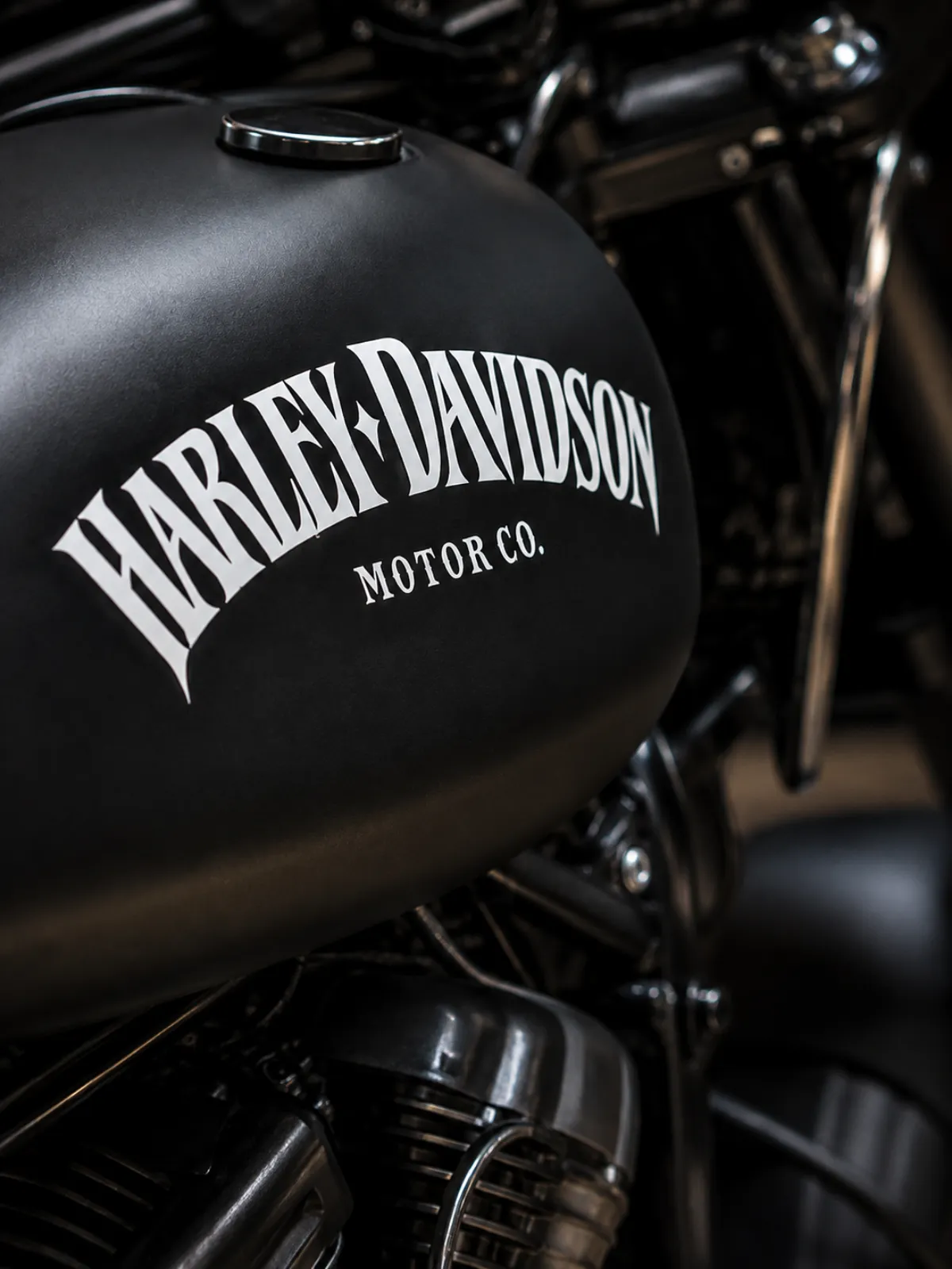 Harley Davidson — 3D Model